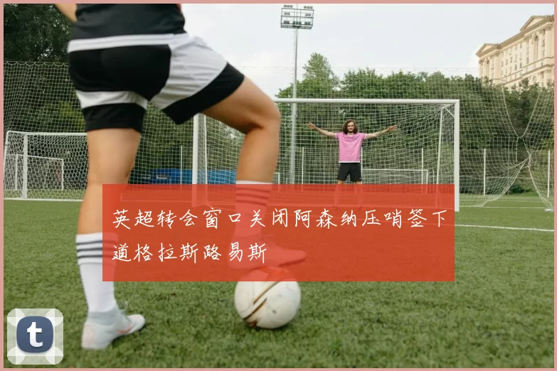 英超转会窗口关闭阿森纳压哨签下道格拉斯路易斯