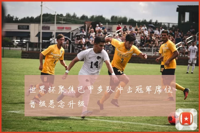 世界杯聚焦巴甲多队冲击冠军席位晋级悬念升级