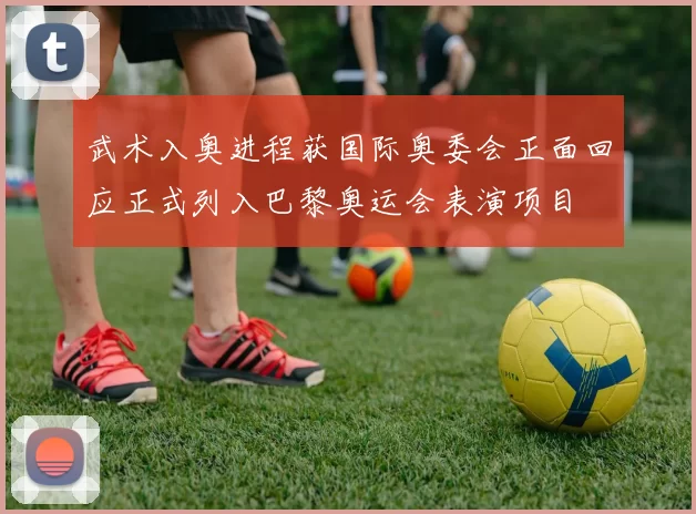 武术入奥进程获国际奥委会正面回应正式列入巴黎奥运会表演项目