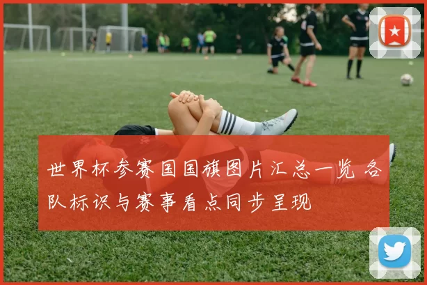 世界杯参赛国国旗图片汇总一览 各队标识与赛事看点同步呈现