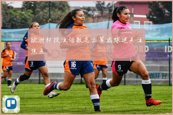 欧洲杯投注倍数怎么算成球迷关注焦点